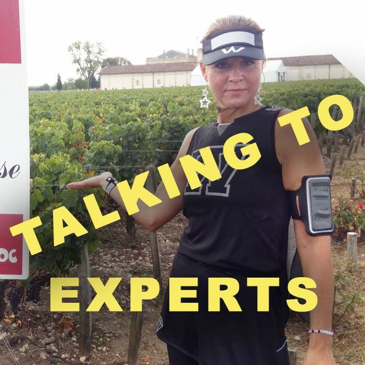 cover art for Talking to Experts # 51 DITT DIGITALA JAG ÄR VÄRT MILJARDER med CAJSA SYDHOFF WEIBRING