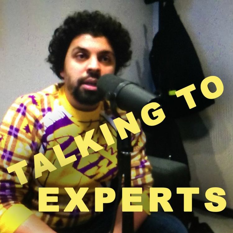 cover art for Talking to Experts # 50 MOTIVATION ÄR ATT SE MENING med RUHI TYSON