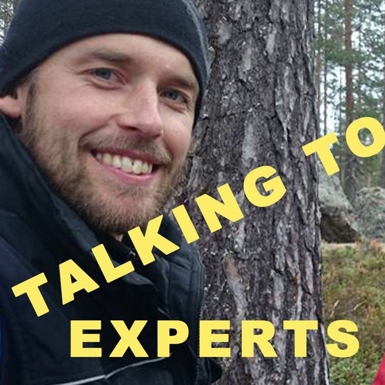 cover art for Talking to Experts # 47 GAMMELSKOG OCH EVIGHETSTRÄD med PER AX