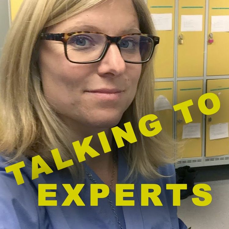 cover art for Talking to Experts #46 - HJÄRNAN OCH SPRÅKET med Kajsa Söderhielm