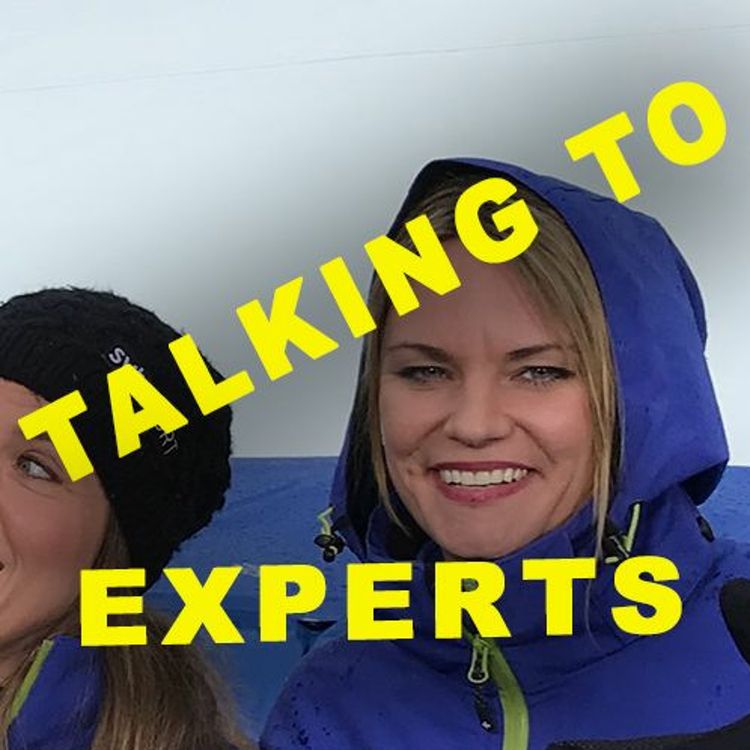 cover art for Talking to Experts # 41 INTE BARA SPORT med JENNY MODIN