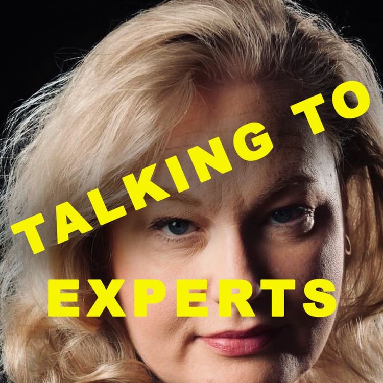 cover art for Talking to Experts # 37 HUMOR & TIMING med SOFIA BACH