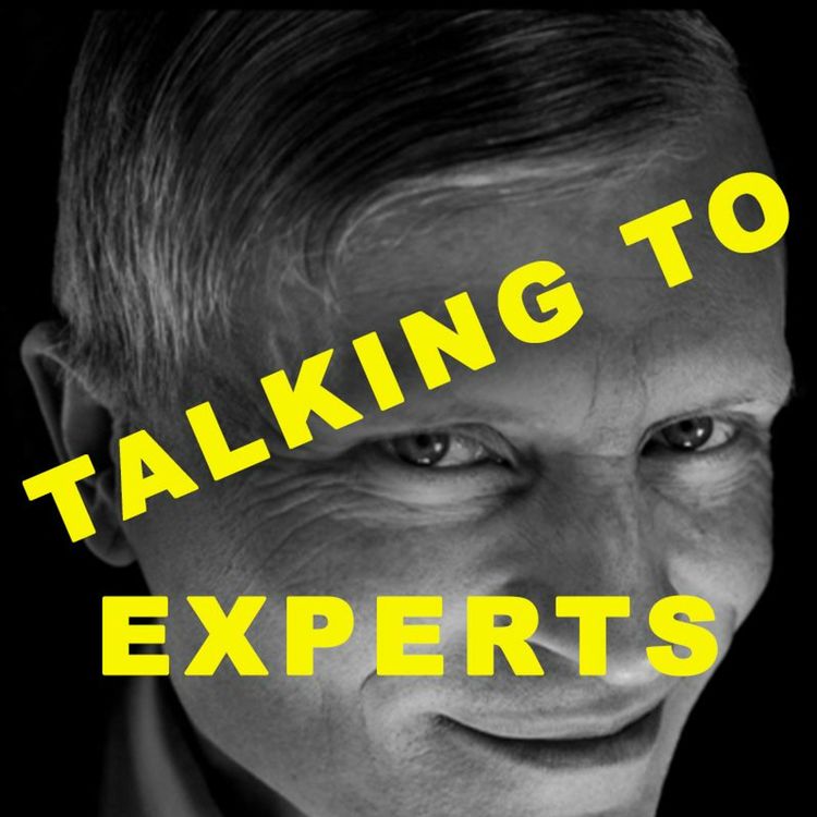 cover art for Talking to Experts #36 - MAGIN MED HYPNOS  med ANDERS WALLIN