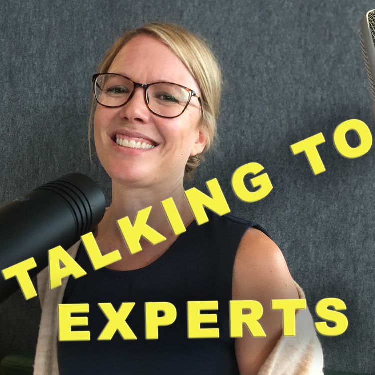 cover art for Talking to Experts # 32 FOKUS, FLOW & KREATIVITET med Ulrika Nybäck