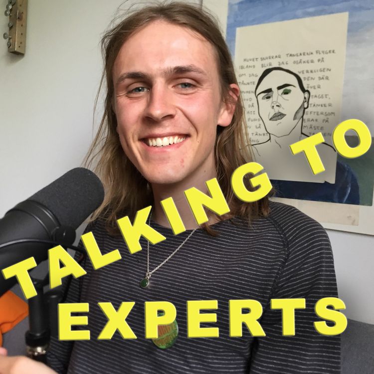 cover art for Talking to Experts # 31 150% ENGAGEMANG FÖR EN BÄTTRE VÄRLD med Tor Persson