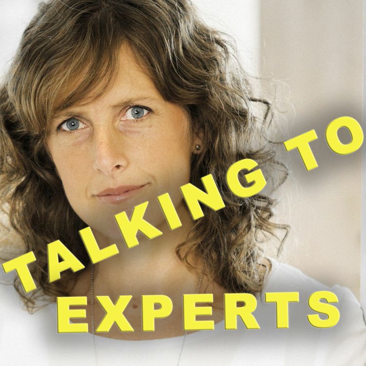 cover art for Talking to Experts #28 SOCKER med Ann Fernholm