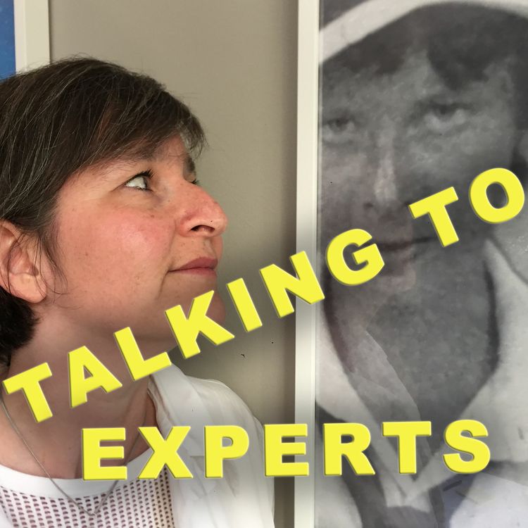 cover art for Talking to Experts # 26 ESTER BLENDA NORDSTRÖM med Anna Hylander