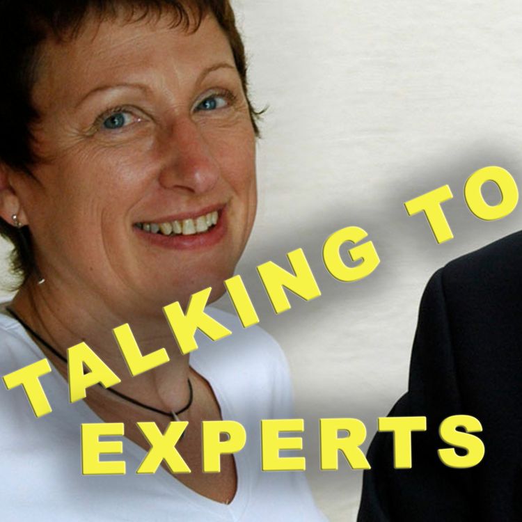 cover art for Talking to Experts # 24 - KLOKHET med Annika Bramsen