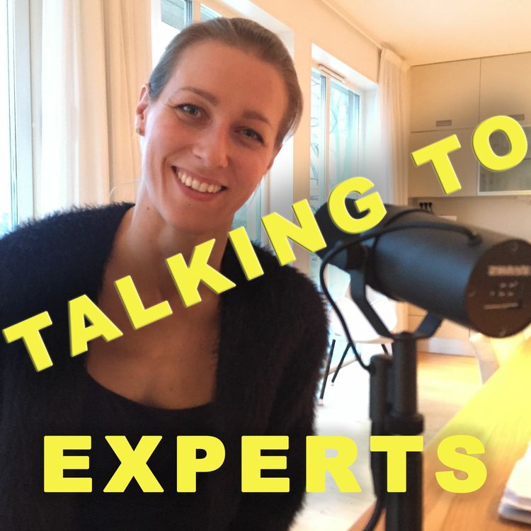 cover art for Talking to Experts #20 DAMISHOCKEY - med Danijela Rundqvist