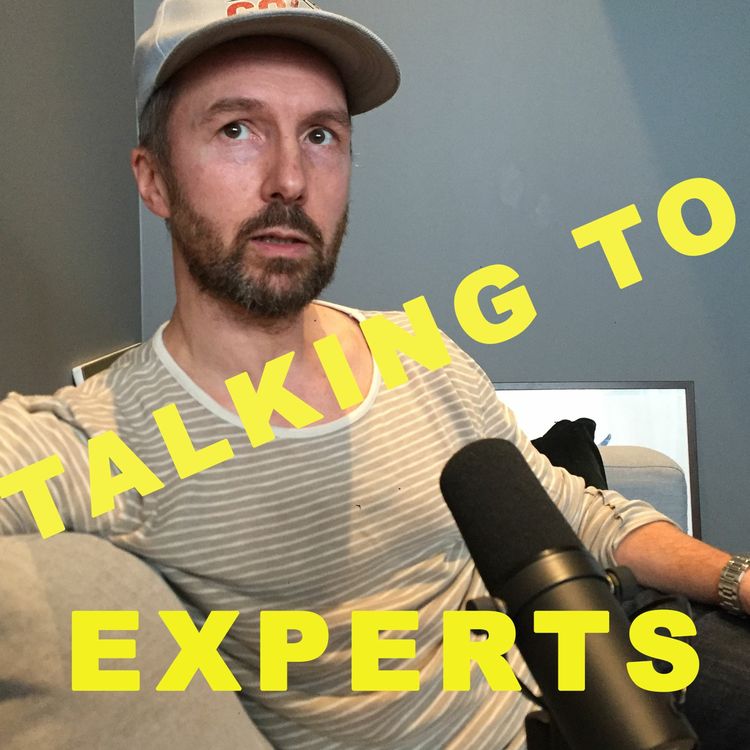 cover art for Talking to Experts # 18 SKÅEDSPELERI med Olle Sarri