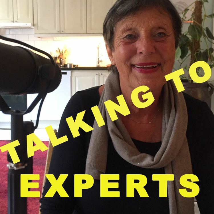 cover art for Talking to Experts # 17 SYSKONFORSKNING med Elisabeth Schönbäck