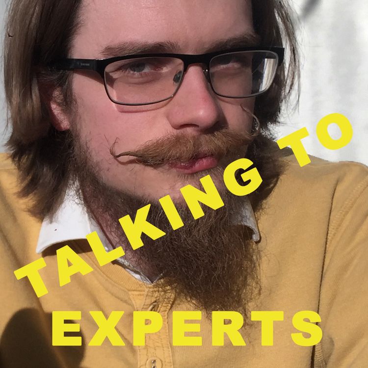 cover art for Talking to Experts # 14 FÖRUTSPÅ FRAMTIDEN med Rickard Molander