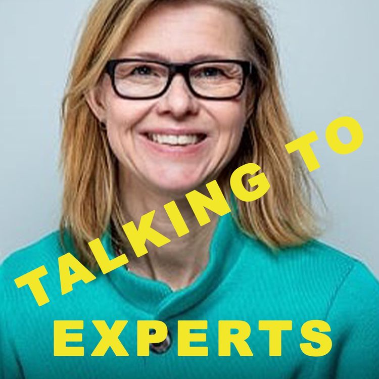 cover art for Talking to Experts # 13 LEDARSKAP med Anna Hummel Gumaelius