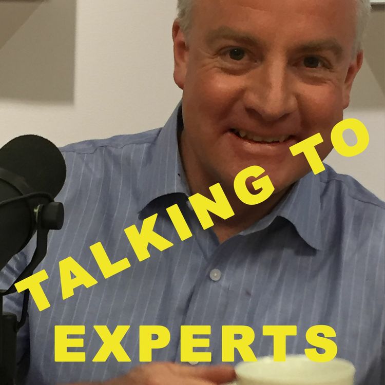 cover art for Talking to Experts # 12 INSIDE FINANSBRANSCHEN med Marcus Holmberg