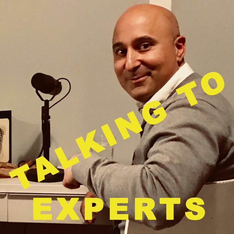 cover art for Talking to Experts # 11 STRESS med Dan Hasson