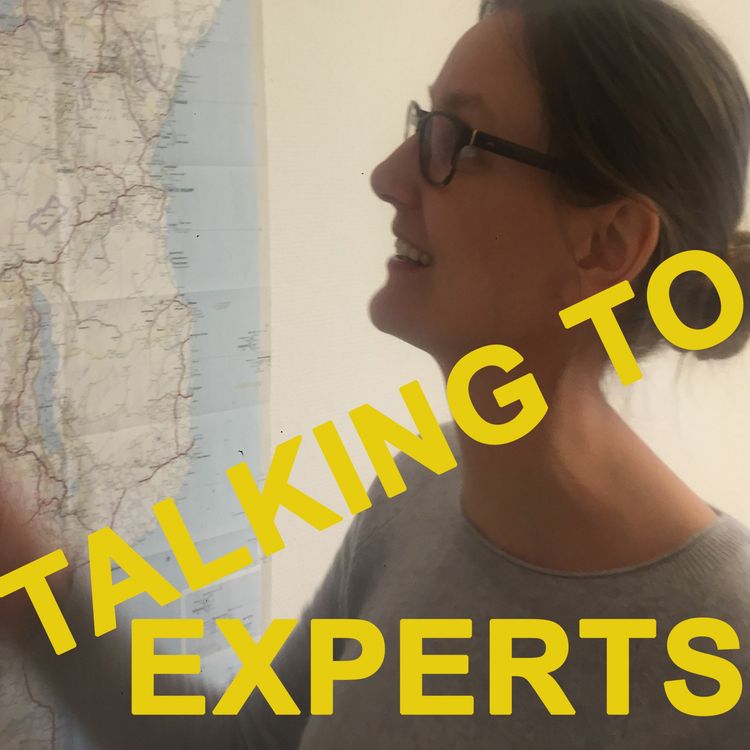 cover art for Talking to Experts # 10 KONGOkonflikten med Stina Högbladh