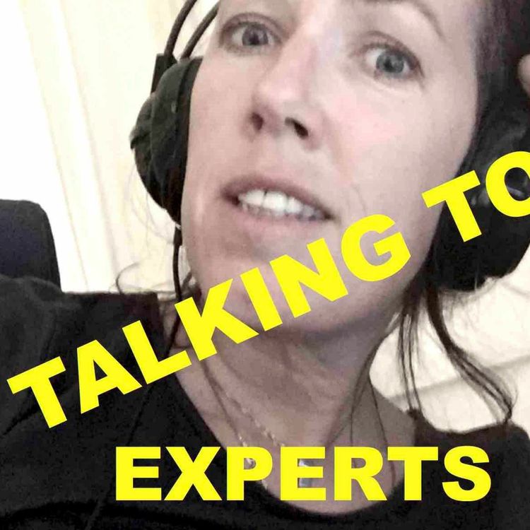 cover art for Talking to Experts #3 - FRED & KRIG med Erik Melander