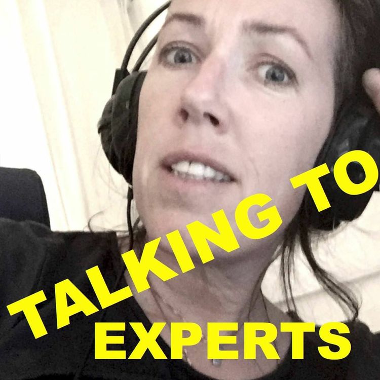 cover art for Talking To Experts # 1 ALGORITMER med Francis Lee