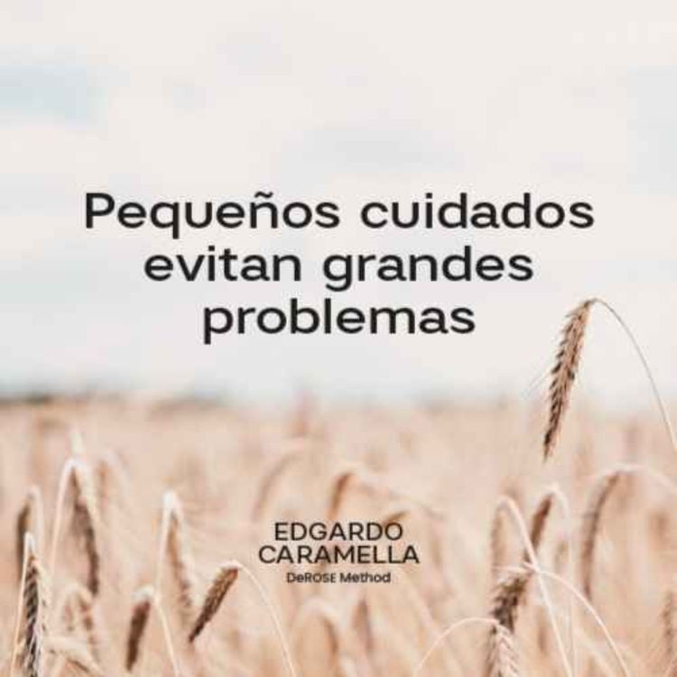 cover art for Pequeños Cuidados Evitan Grandes Problemas