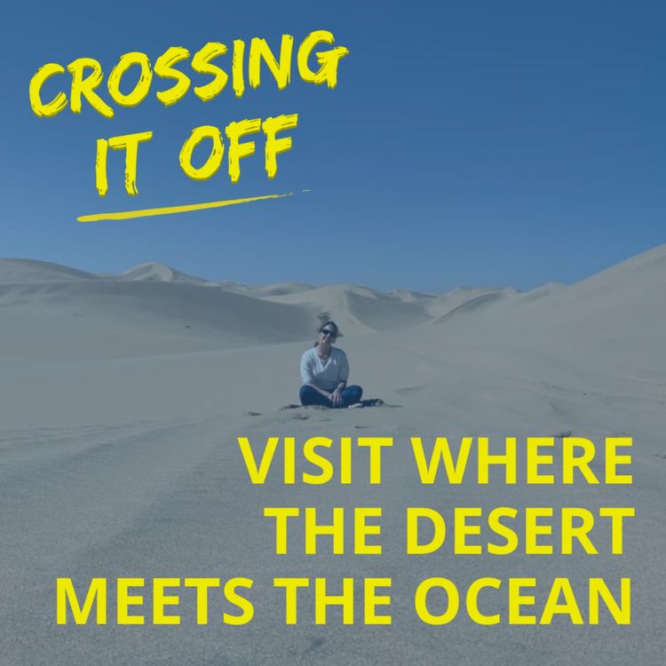 cover art for Visit Where the Desert Meets the Ocean : Judith Furhmann