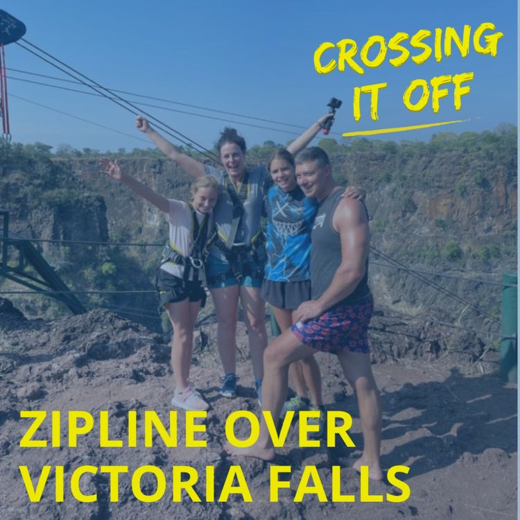 cover art for Zipline Over Victoria Falls : Laurin Mariani