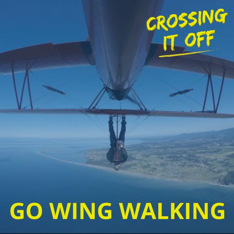 cover art for Go Wing Walking : Shannon Hankel