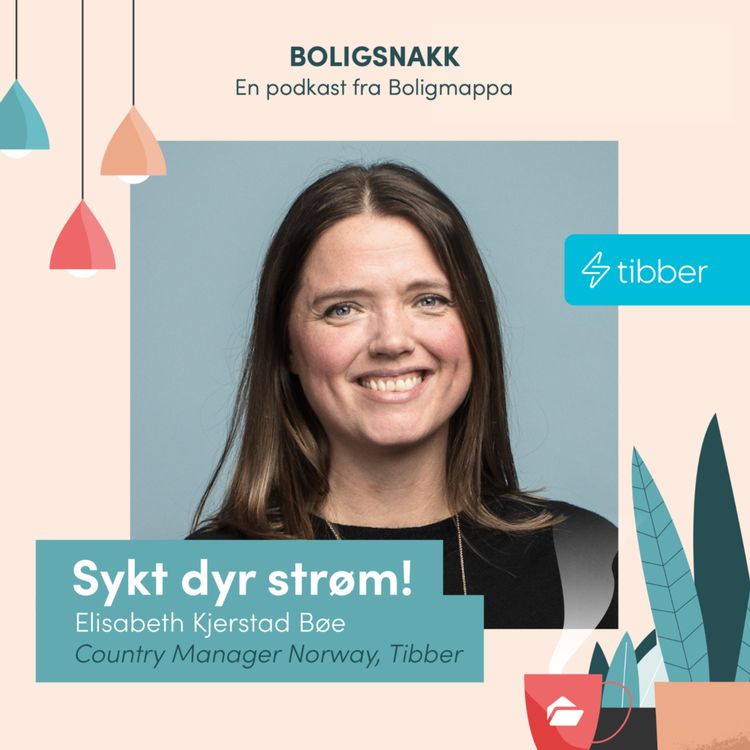 cover art for #18: Sykt dyr strøm! 