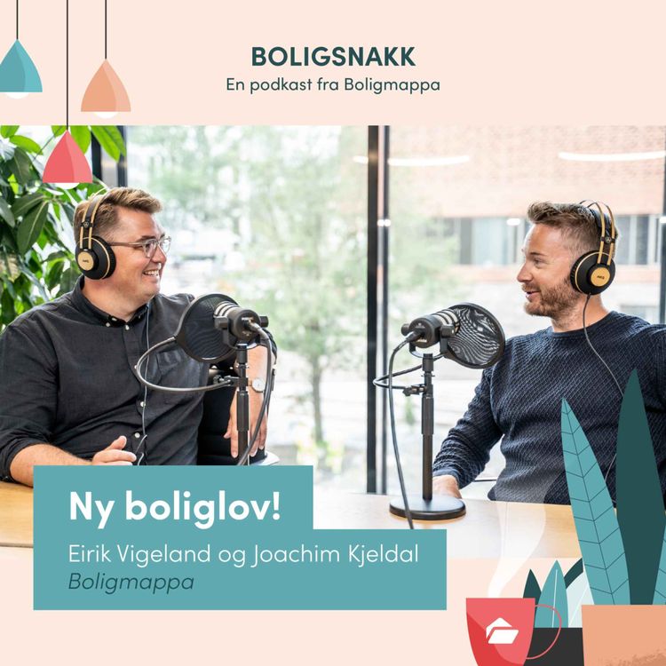 cover art for #20: Ny boliglov!