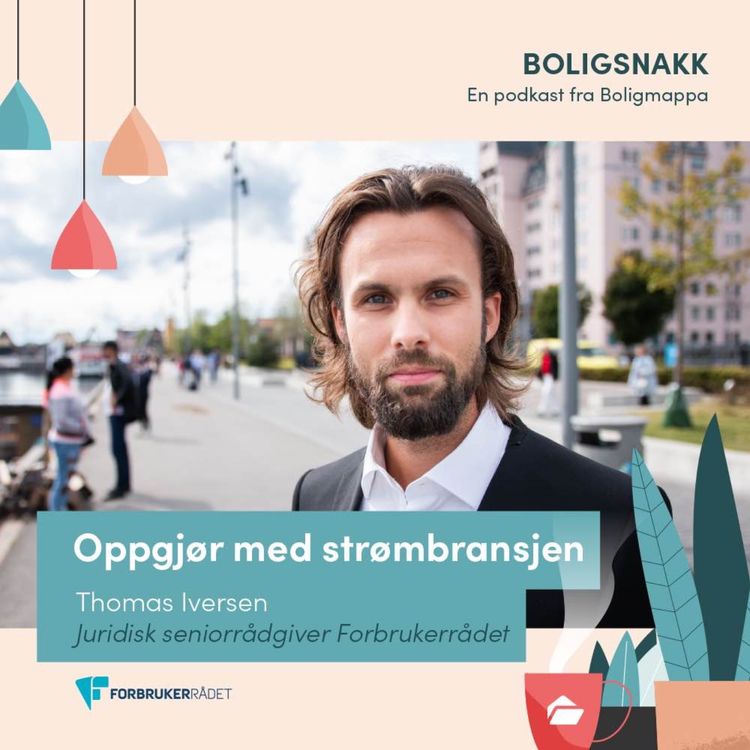 cover art for #31: Oppgjøret med strømbransjen