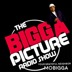 cover art for The Bigga Picture Show