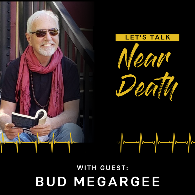 cover art for The NDE Research of Bud Megargee