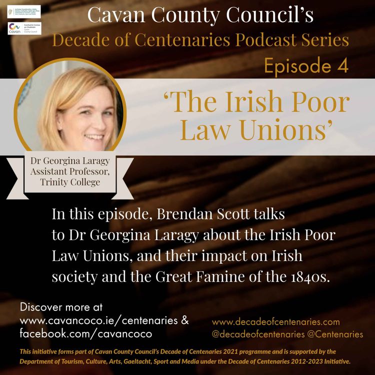 cover art for The Irish Poor Law Unions