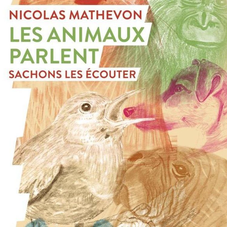 cover art for S02E113 Les animaux parlent 1/8: les fondamentaux du son, Nicolas Mathevon (bioacousticien)