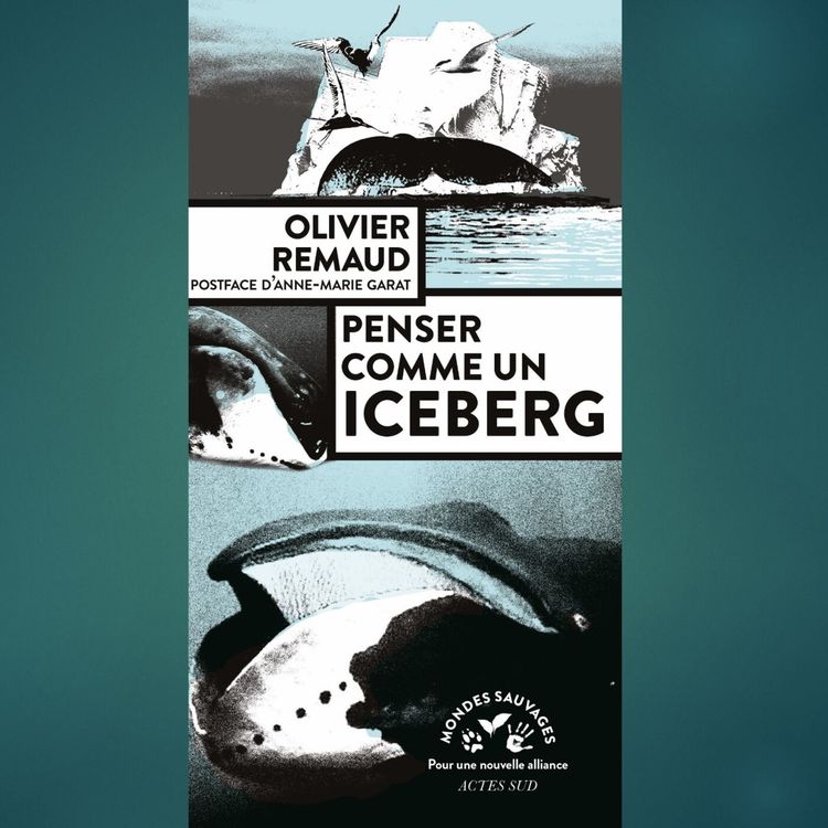 cover art for S02E80 Icebergs 1/4: Penser comme un iceberg, Olivier Remaud (auteur)