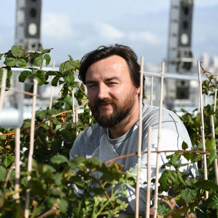 cover art for S01E08 Créer des potagers... sur les toits ! Frédéric Madre (écologue, fondateur de Topager)