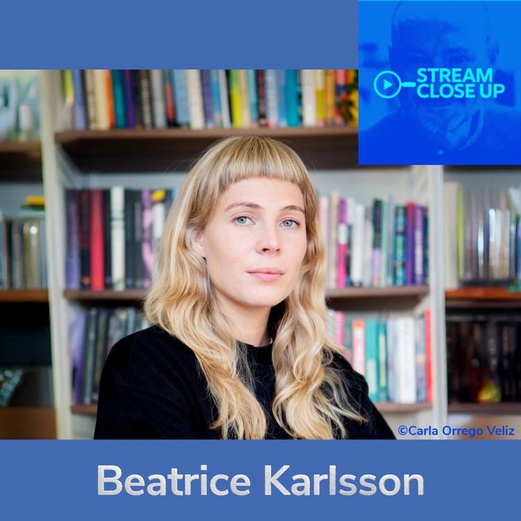 cover art for Anatomy of a Film Festival - Beatrice Karlsson - Stockholm Film Festival