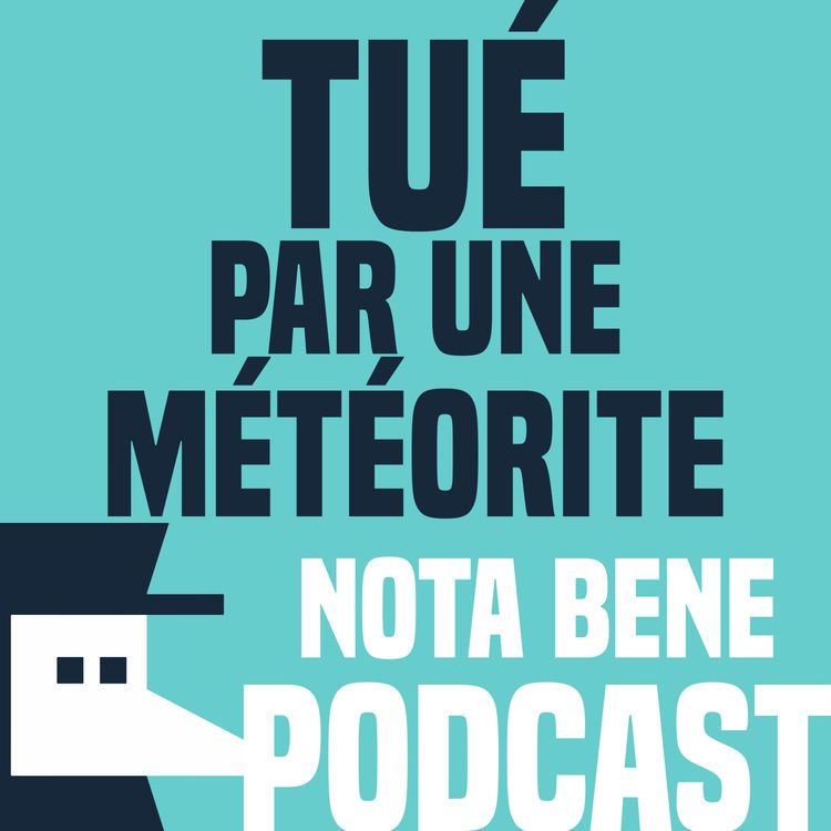 cover art for Le 1er homme tué par une météorite