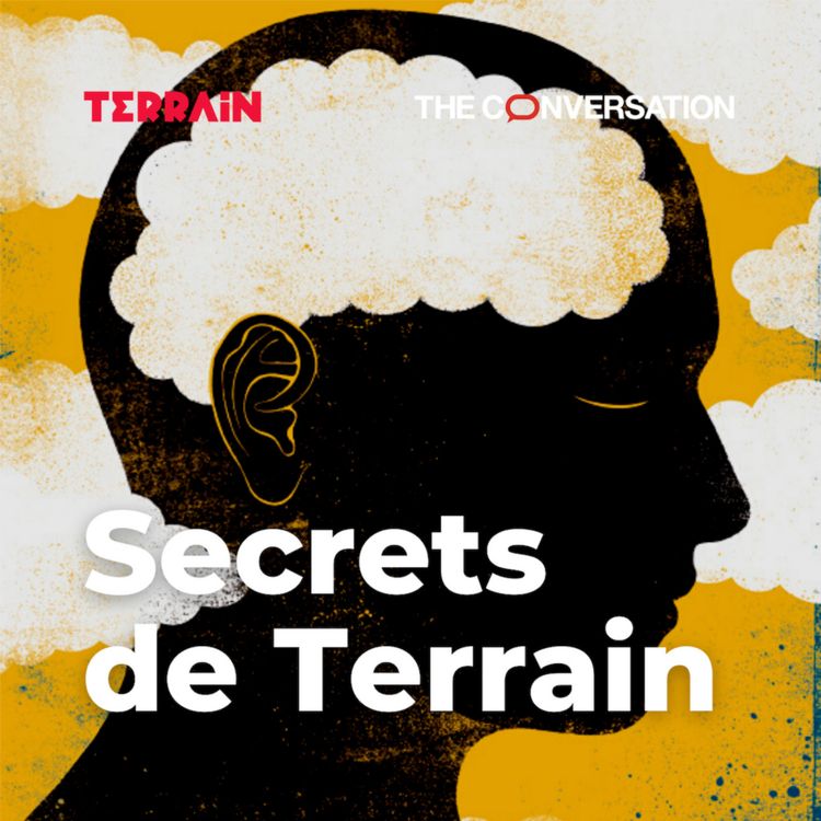 cover art for Teaser | Secrets de Terrain