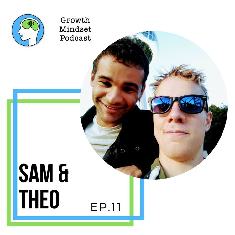 cover art for 11 - Startup Stories [part 2] - Relationships - Sam Harris and Theo Ricketts