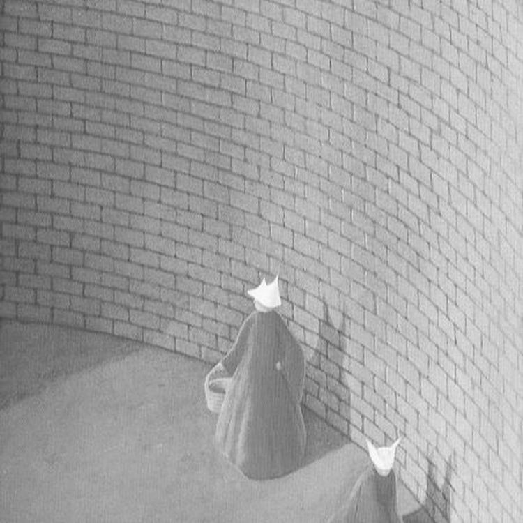 cover art for Serena Joy