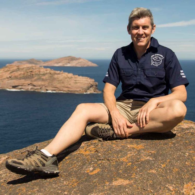 cover art for  Jeff Hansen on direct action (Part 2 of 2)