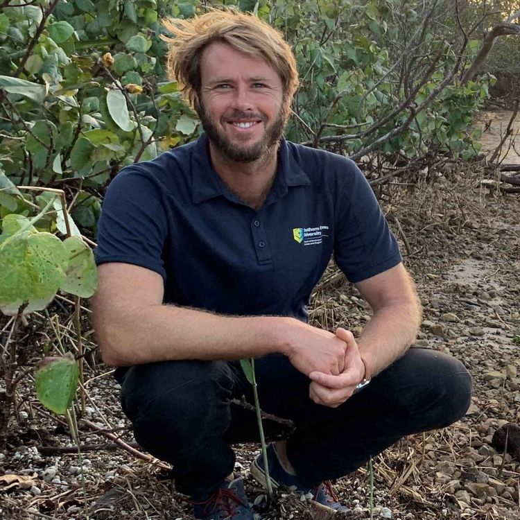 cover art for Dr James Sippo on blue carbon accounting