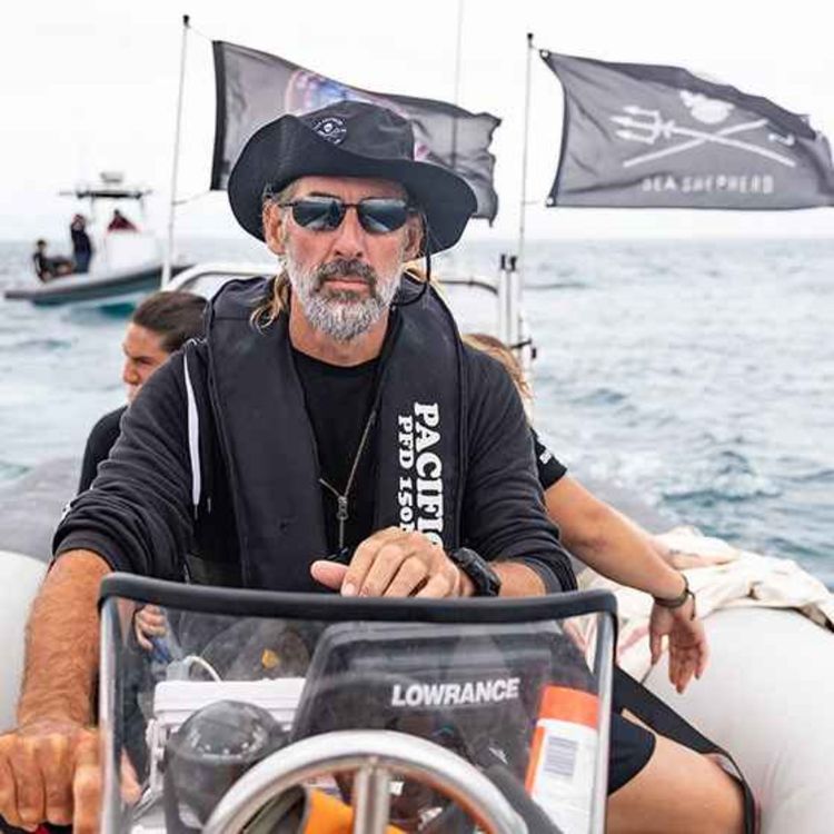 cover art for Shark defence with Jonathan Clark