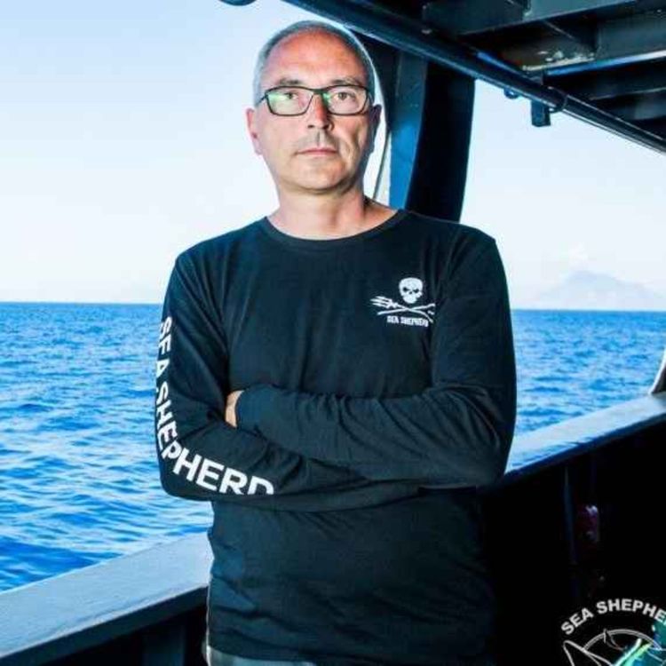 cover art for Andrea Morello on combating illegal fishing in the Mediterranean Sea