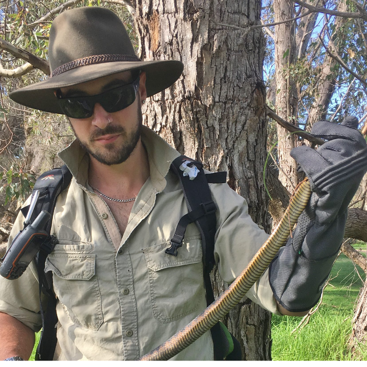 cover art for Snakes as a bioindicator of wetland pollution with Damian Lettoof (Part 1 of 2)