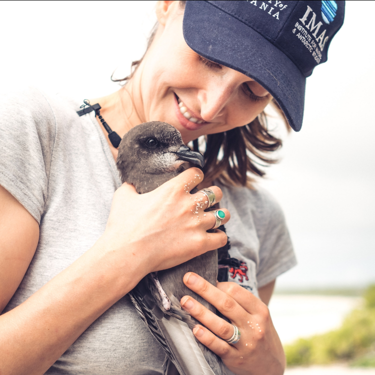 cover art for Dr Jennifer Lavers on the plastic in seabirds (Part 1 of 2)