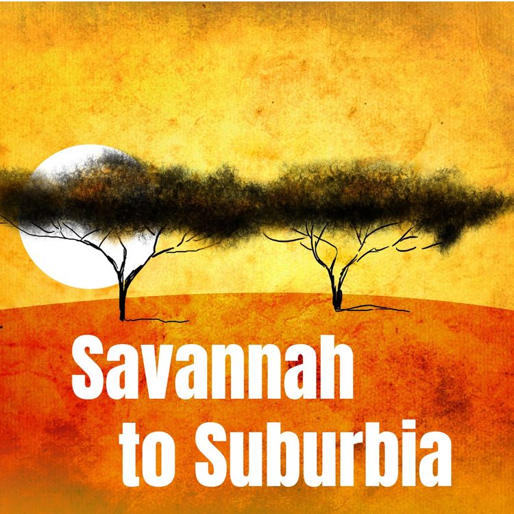 cover art for Savannah to Suburbia