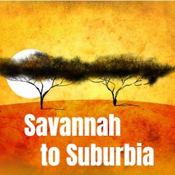 cover art for Savannah to Suburbia - South Sudanese Australian Stories