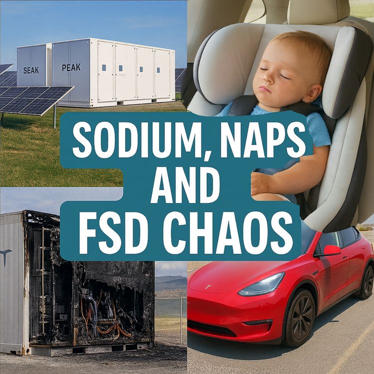 cover art for Sodium, Naps, and FSD Chaos