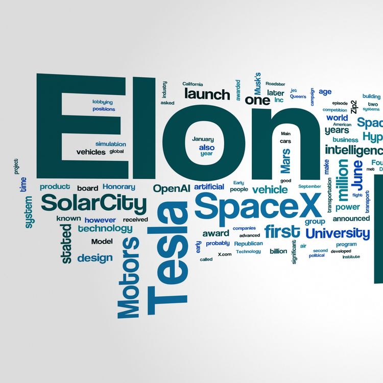 cover art for Elonomics